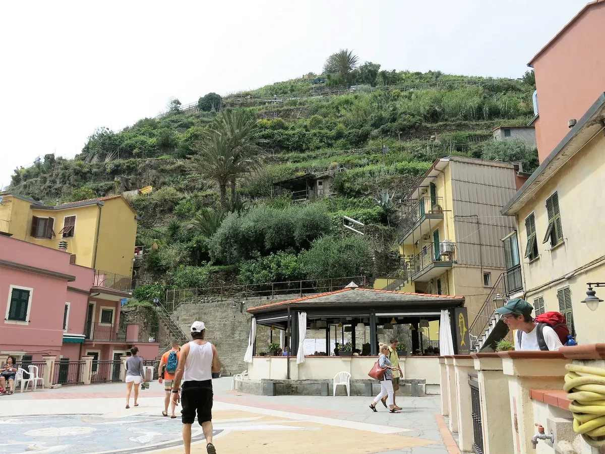 Manarola, Cinque Terre, seen from above with the coloured houses above the harbour